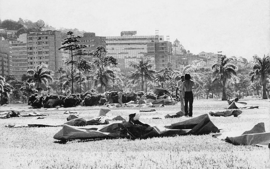 domingos da criação